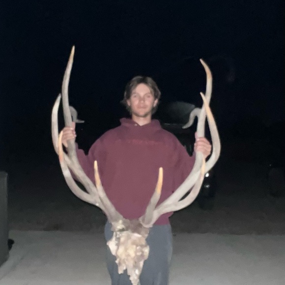 Meet your Posher, Ben - Picture 1 of 1